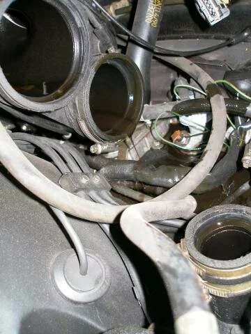 PLENUM_2.jpg